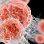 पिरो चाउचाउले स्वास्थ्यमा हानि त गर्दैन ?